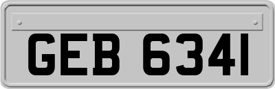 GEB6341