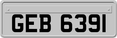 GEB6391