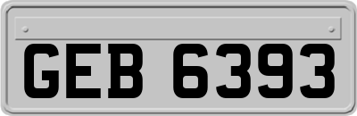 GEB6393