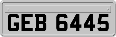 GEB6445
