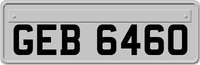 GEB6460