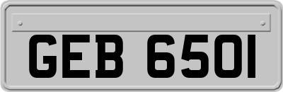 GEB6501