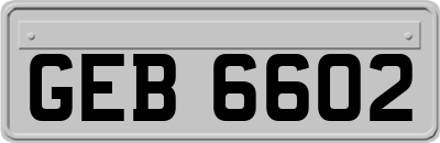 GEB6602