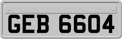 GEB6604