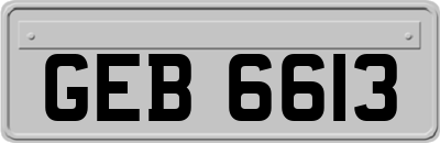 GEB6613