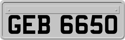 GEB6650