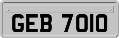 GEB7010