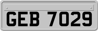 GEB7029