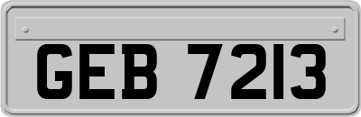 GEB7213