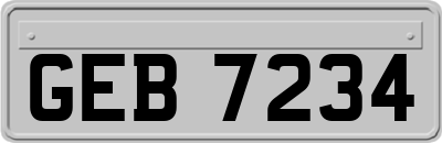 GEB7234