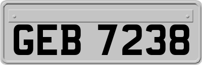 GEB7238
