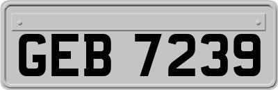 GEB7239
