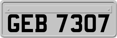 GEB7307