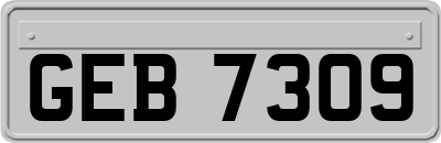 GEB7309