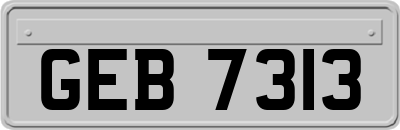 GEB7313