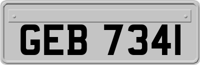 GEB7341