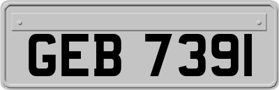 GEB7391