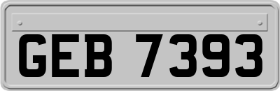 GEB7393