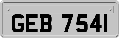 GEB7541
