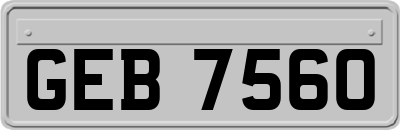 GEB7560