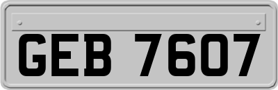 GEB7607