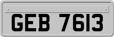 GEB7613