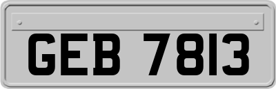 GEB7813