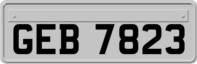 GEB7823