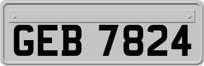 GEB7824