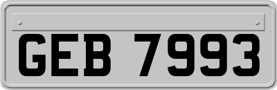 GEB7993