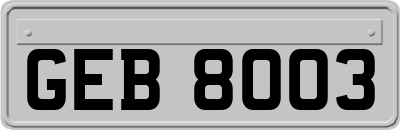 GEB8003
