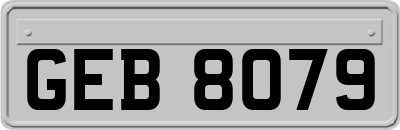 GEB8079
