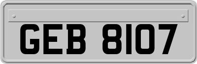 GEB8107