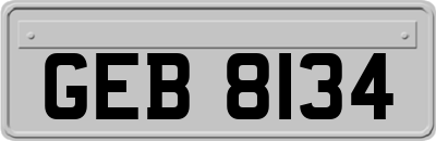 GEB8134
