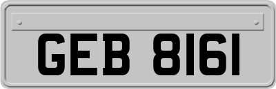 GEB8161