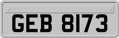 GEB8173