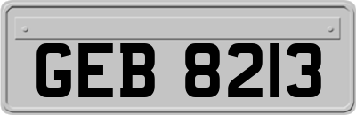 GEB8213
