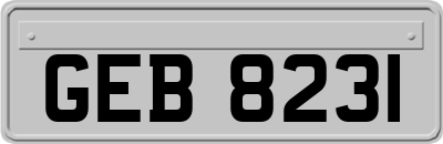 GEB8231