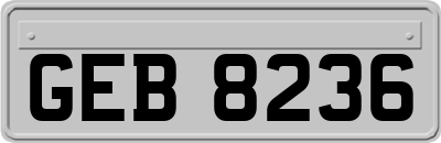 GEB8236