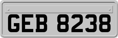 GEB8238