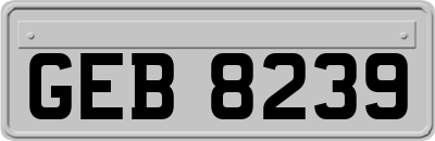 GEB8239