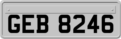 GEB8246