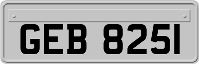 GEB8251