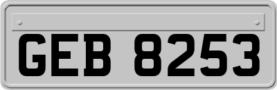 GEB8253