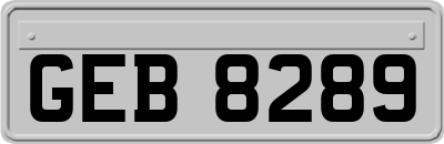 GEB8289