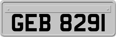 GEB8291