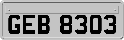 GEB8303