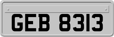 GEB8313