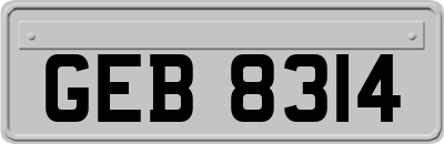 GEB8314