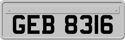 GEB8316
